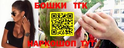 шишки Аргун