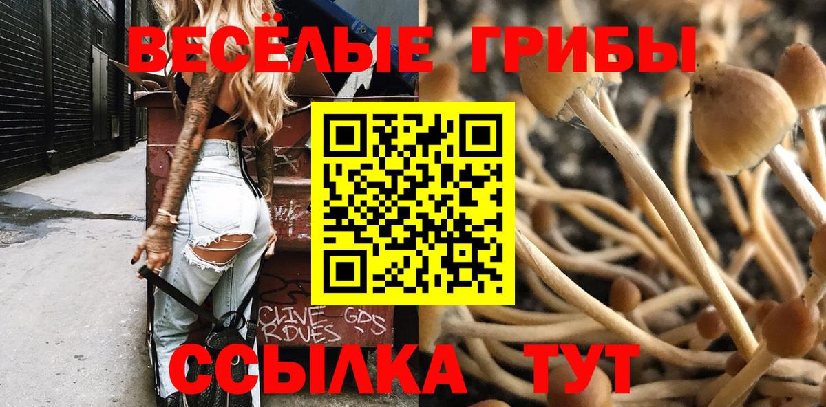 Псилоцибиновые грибы Magic Shrooms Артём